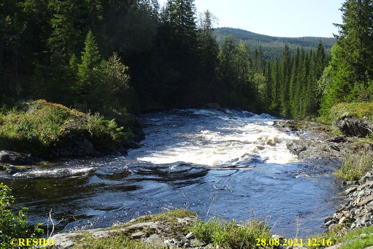 Sagamarsjen 1. Tag