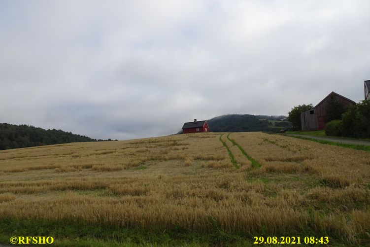Sagamarsjen