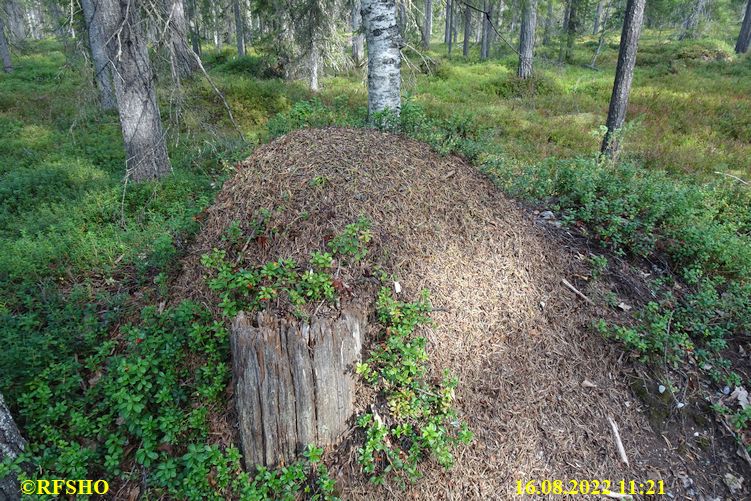 Rovaniemi