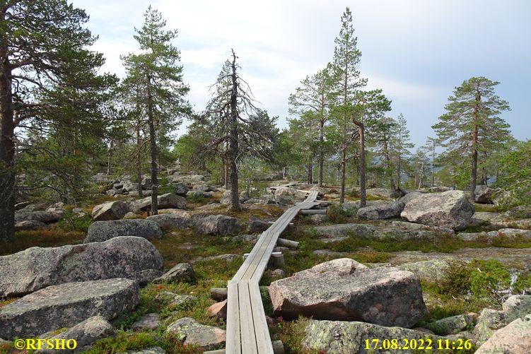 Aavasaksa