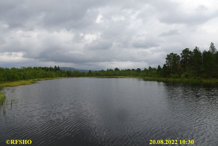 Torneträsk