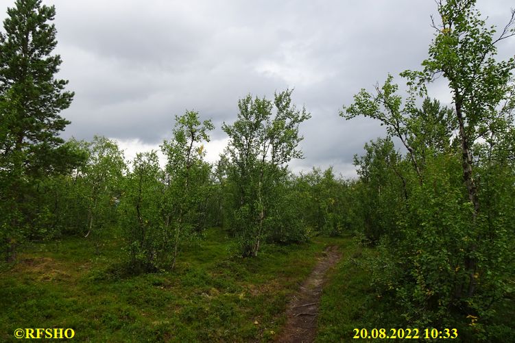 Torneträsk