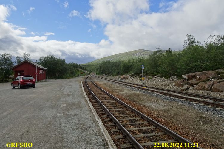 Løsdal