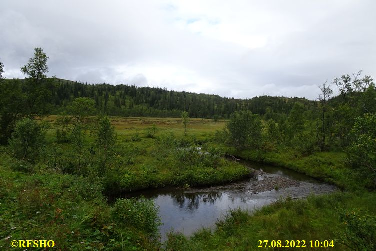 Sagamarsjen