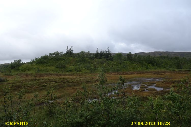 Sagamarsjen