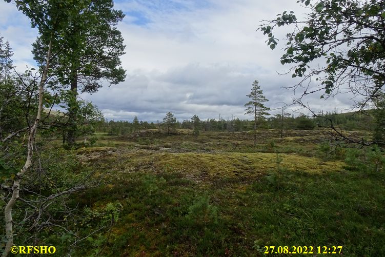 Sagamarsjen