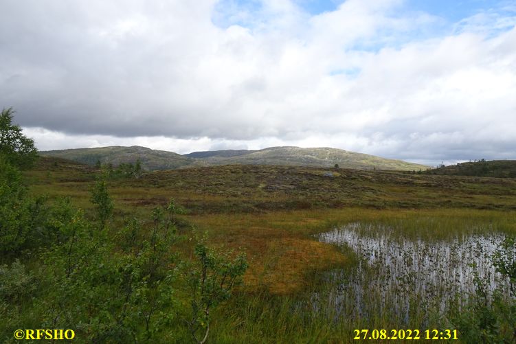 Sagamarsjen