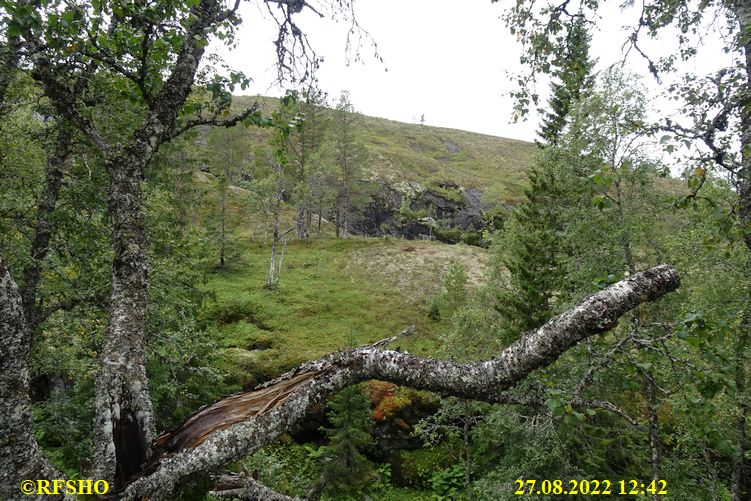 Sagamarsjen