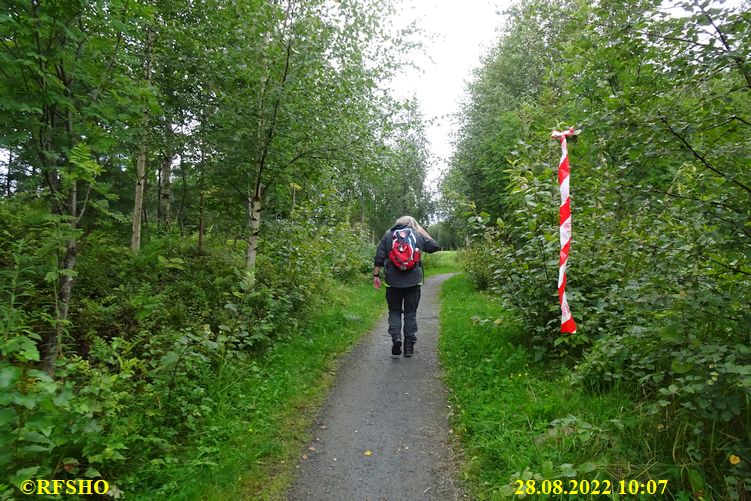 Sagamarsjen