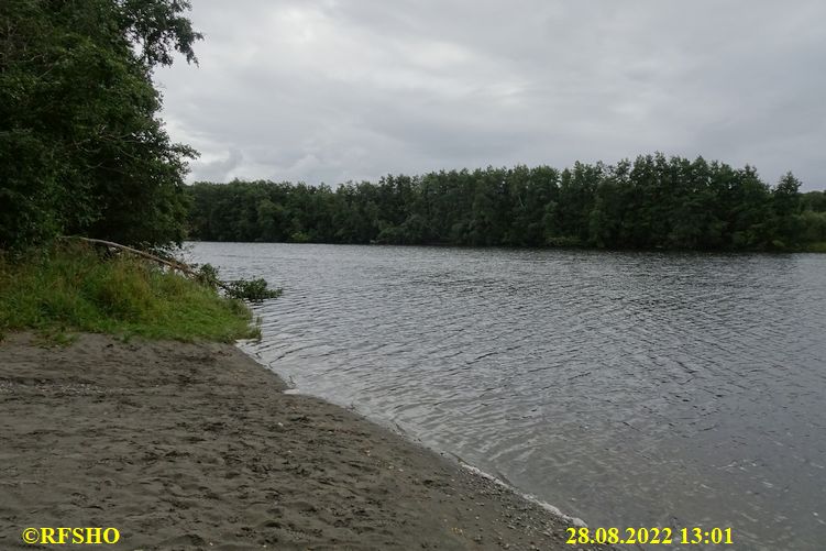 Sagamarsjen