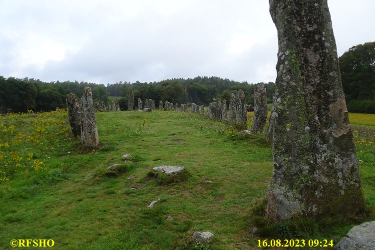 Stenskeppet - Blomsholm