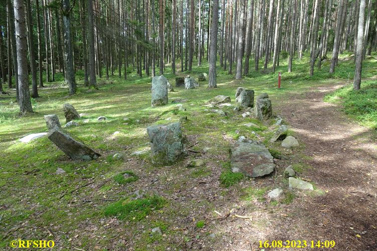 Steinringfeltet