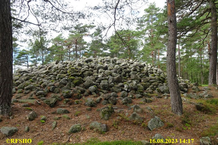 Steinringfeltet