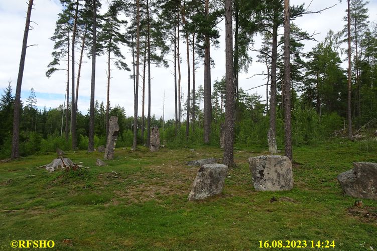 Steinringfeltet