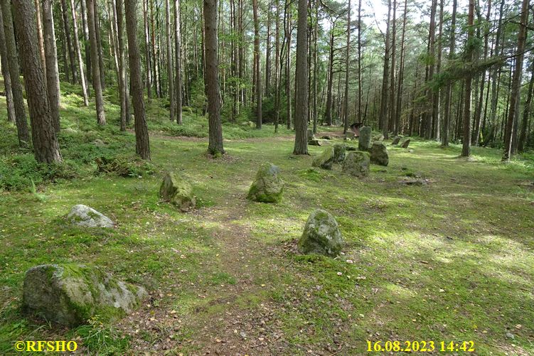 Steinringfeltet