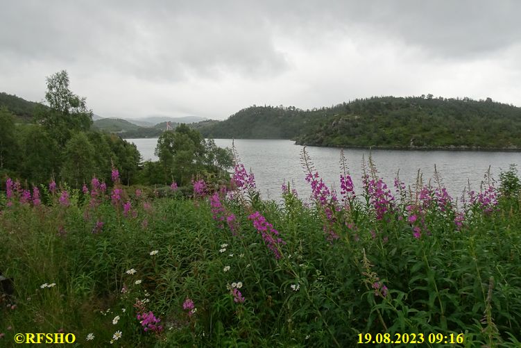 Vågslid