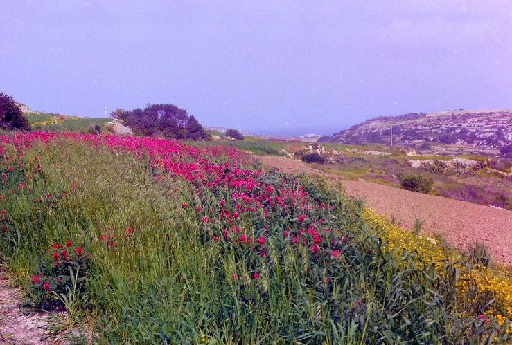 Malta März 2000