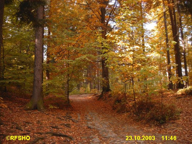 zur Bastei
