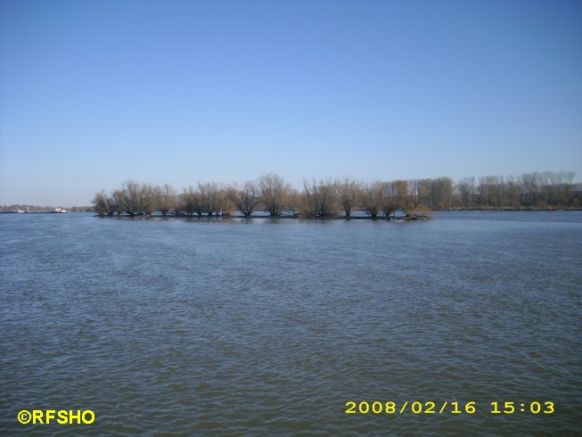 Fahrt mit der Rheinfähre Oestrich-Winkel - Ingelheim