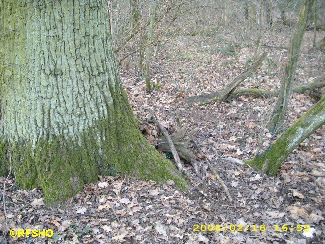 Geocache Selztal Blue Box