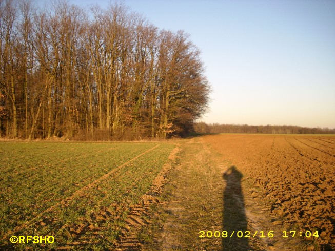 Wanderung von Appenheim zum Geocache Selztal Blue Box