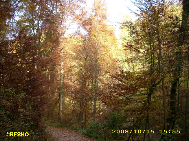 Wanderweg Andechs - Herrsching