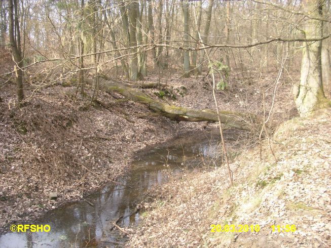 Salamanderlöcher (Geologischer Wanderweg)