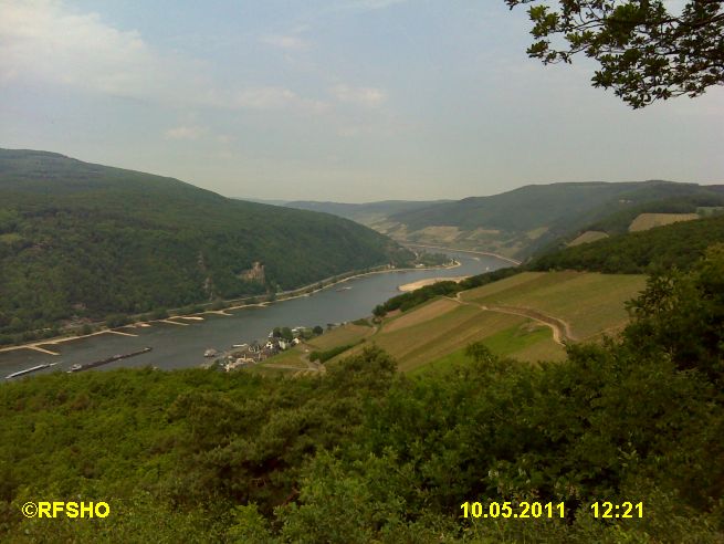 Rhein