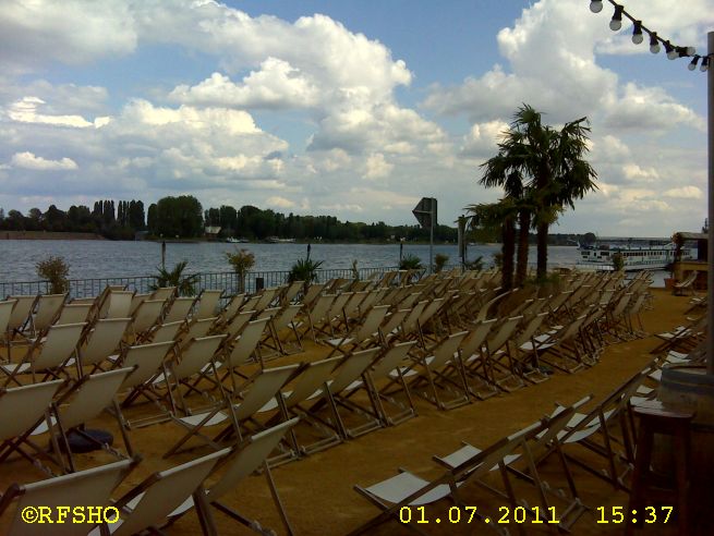 Palmenstrand