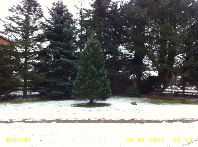 Schnee in Schönewörde