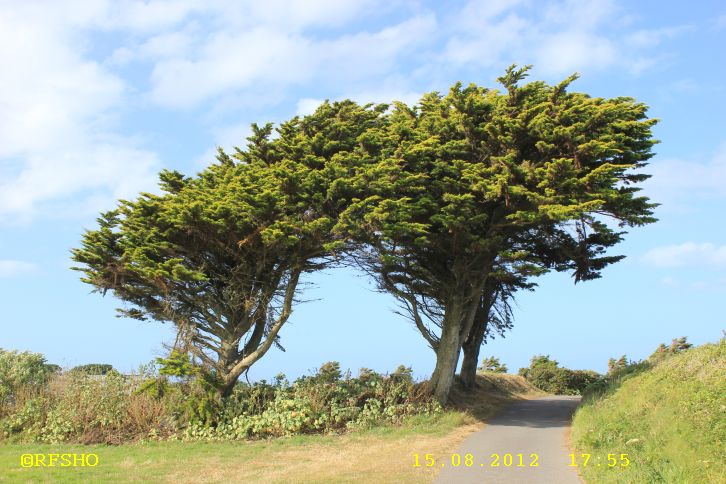 Guernsey