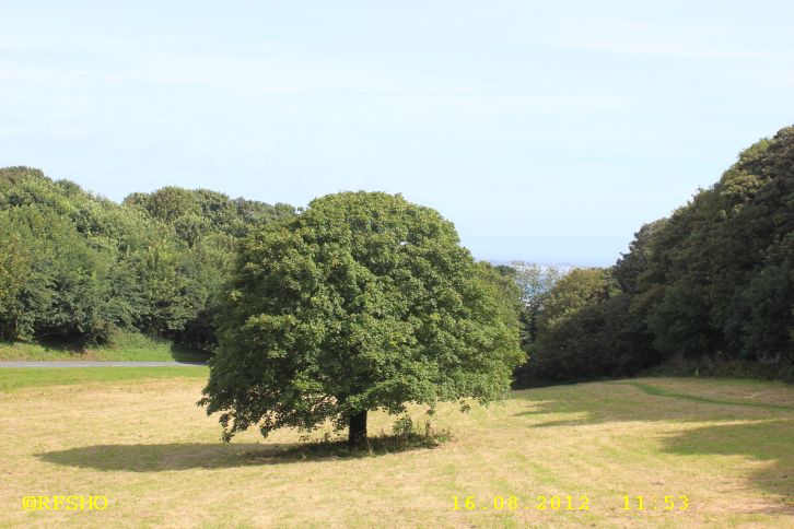 Guernsey