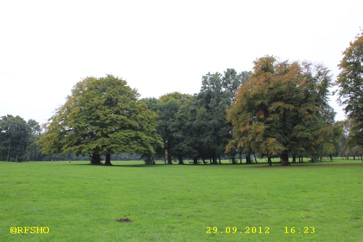Englischer Garten