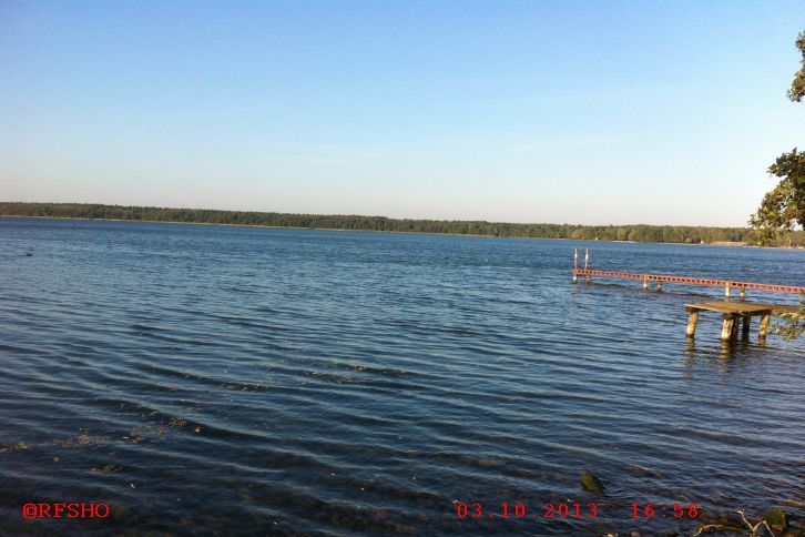 Arendsee