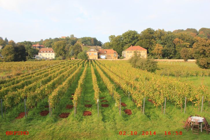 Blick von der Ferienwohnung Haus Steinbach