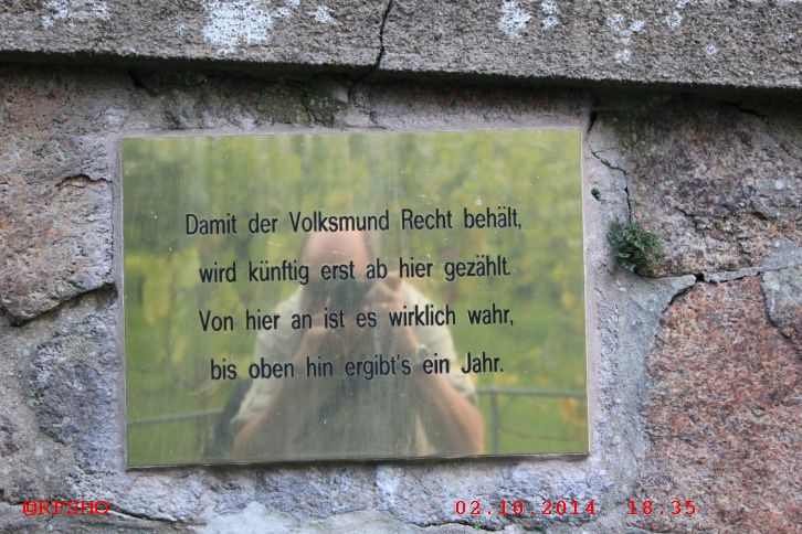 Weinberg am Bismarkturm 