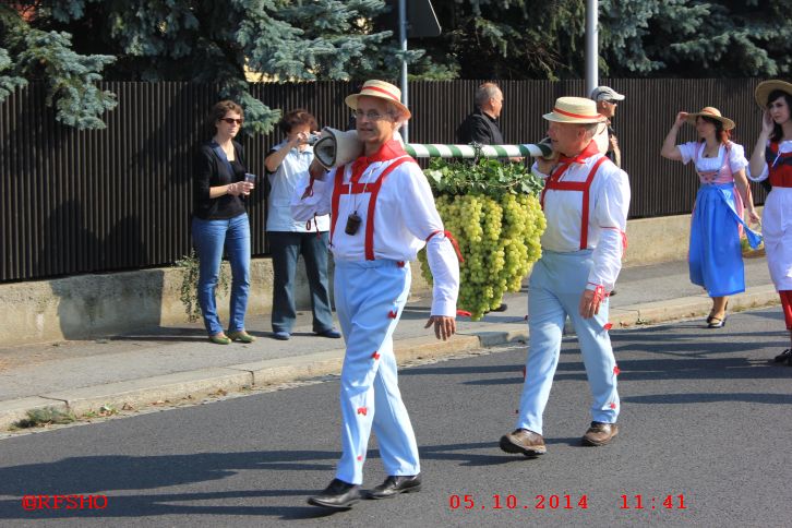 Sächsischer Winzerzug 2014