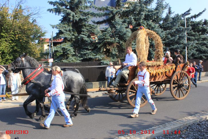 Sächsischer Winzerzug 2014