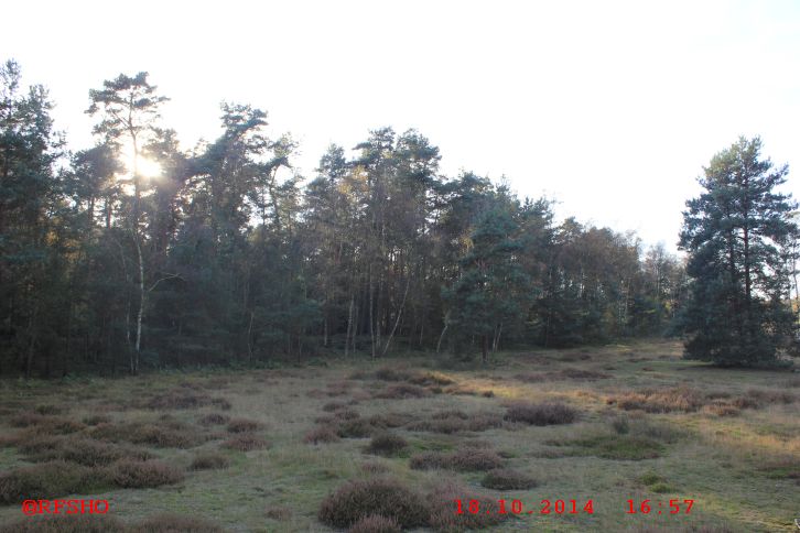 Münster, Wanderung Hohe Ward