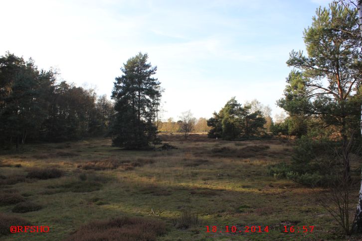Münster, Wanderung Hohe Ward