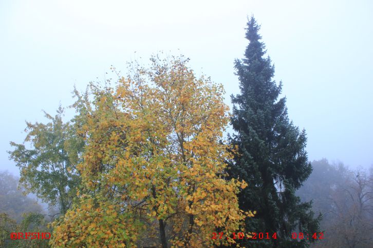 Blick vom Hotelzimmer in Simmern