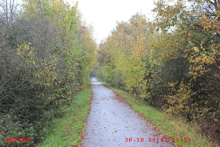 Schinderhannes Radweg (ehem. Eisenbahn)