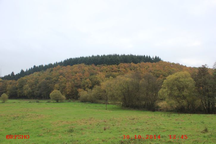 am 50. Breitengrad im Hunsrück