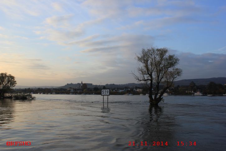 Rheinfähre Oestrich-Winkel − Ingelheim