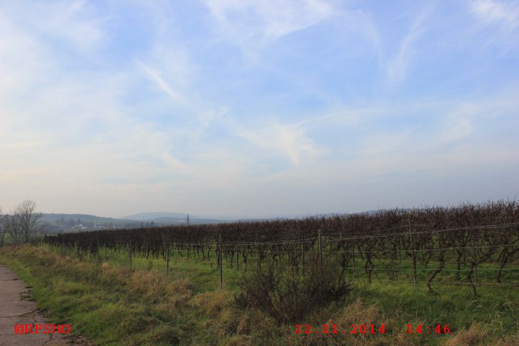 Wanderung Stein-Bockenheim − Wonsheim