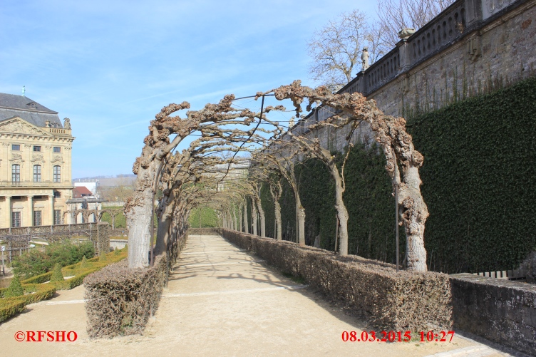 Würzburg Hofgarten