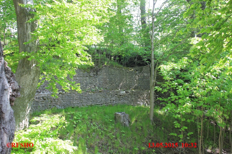 Die Harzburg