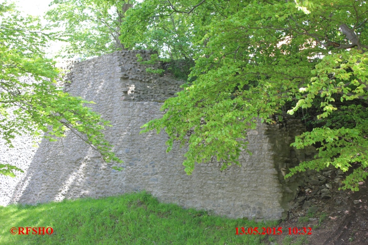 Die Harzburg