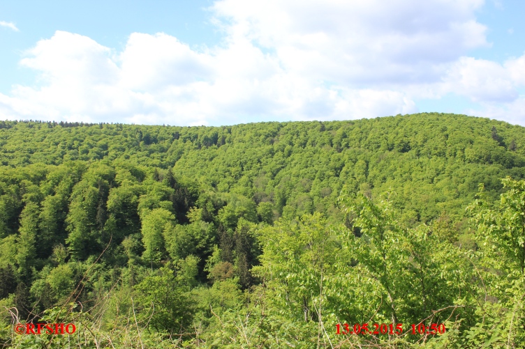Blick vom Burgberg