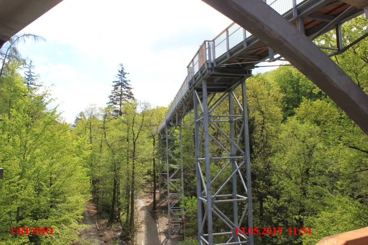 Baumwipfel Pfad Bad Harzburg